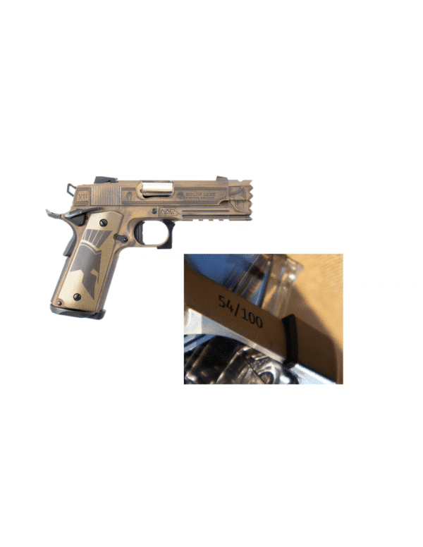 réplique gbb custom airsoft